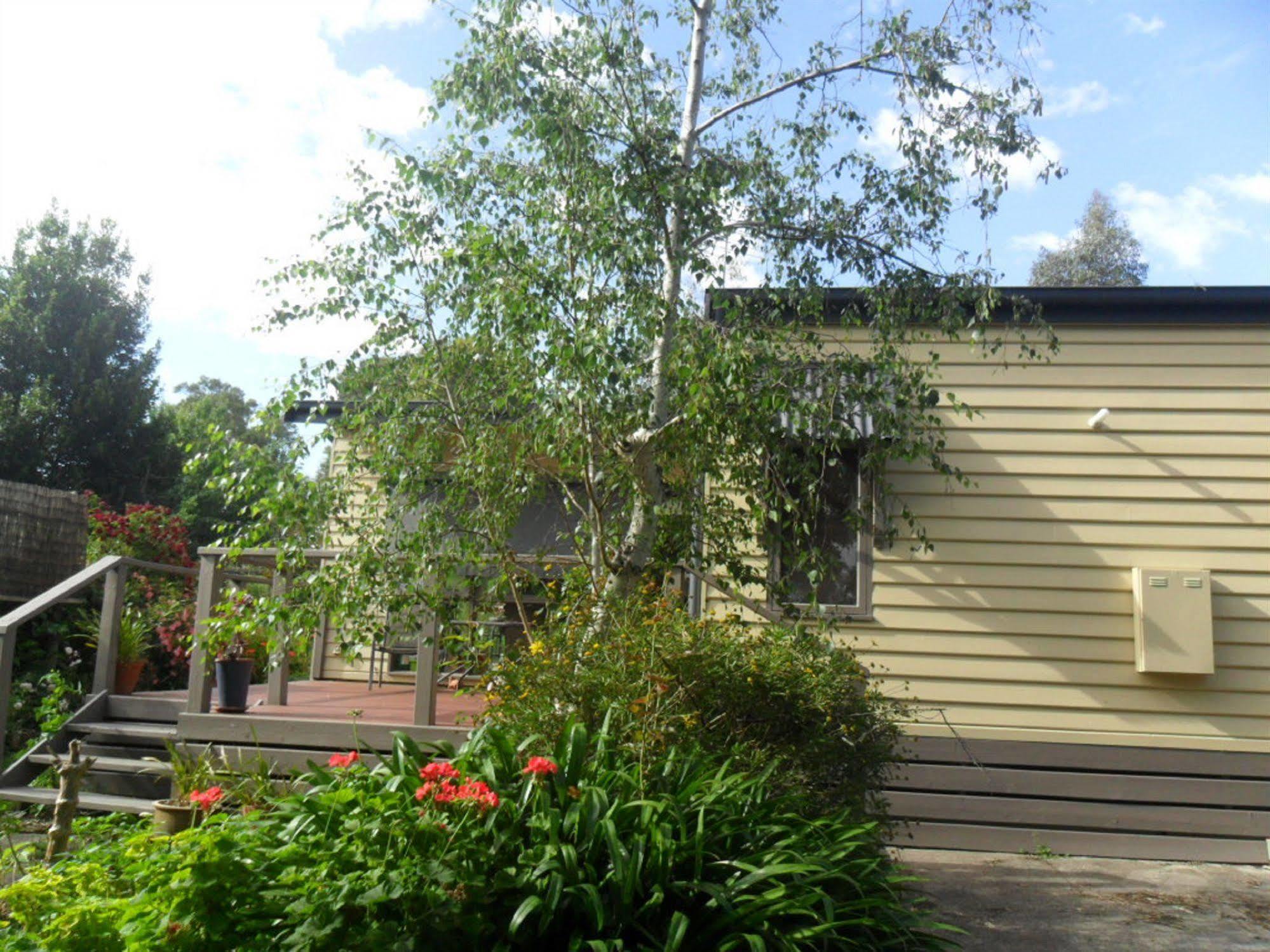 Australian Home Away @ Wonga Park Brushy Creek Buitenkant foto