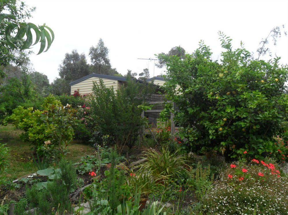Australian Home Away @ Wonga Park Brushy Creek Buitenkant foto